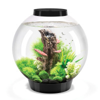 Акваріум biOrb CLASSIC 30 LED, чорний Акваріум biOrb CLASSIC 30 LED, чорний