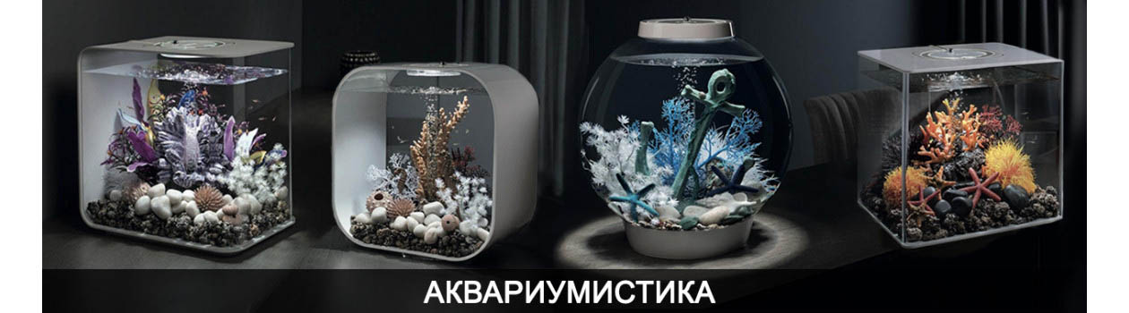 Аквариумистика