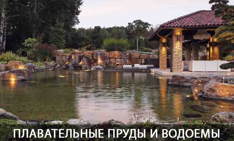 Плавательные пруды и водоемы