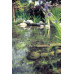 Скиммер Biosys Skimmer Plus - 57137 Скиммер Biosys Skimmer Plus - 57137
